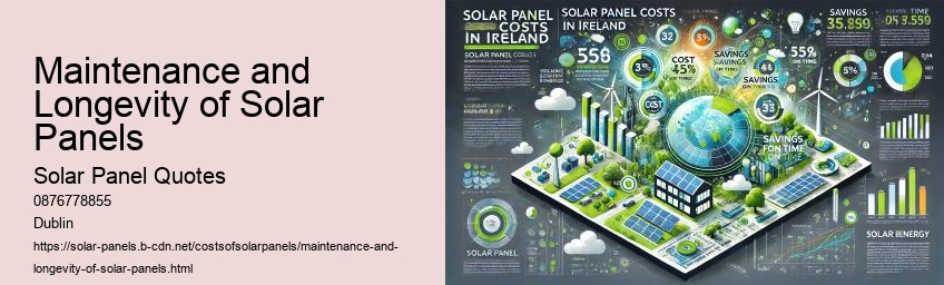 Maintenance and Longevity of Solar Panels