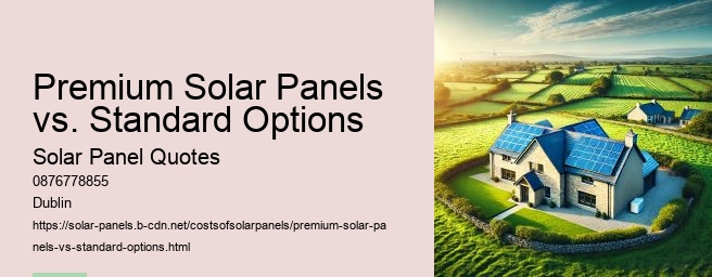 Understanding Monocrystalline Silicon Solar Panels